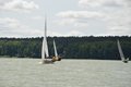DSC_0554