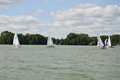 DSC_0595