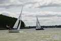 DSC_0501