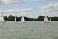 DSC_0599
