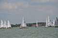 DSC_0221