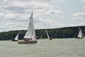 DSC_0558